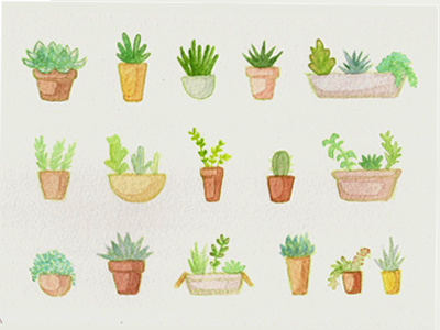 Some Plants cactus design graphic design icons idea illustration plants succulents traditional watercolor watercolor plants