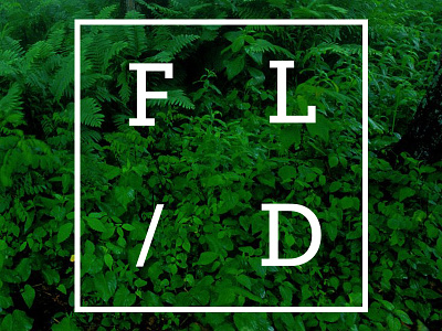 FL/D branding identity logo typography