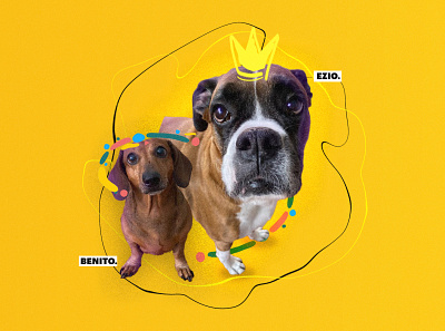 doggies collage collage art design pets