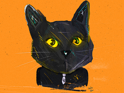 Cat series: II- Zula. cat cats digital digital illustration digital painting digitalart drawing illustration wacom wacom intuos zula