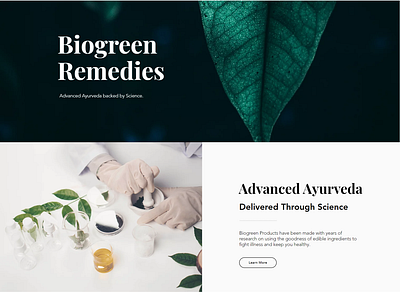 New Website Design for BioGreen ayurveda bio website