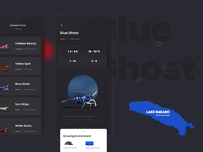 Sulawesi Shrimp Mobile App app design concept illustration ios app design shrimps ui ux