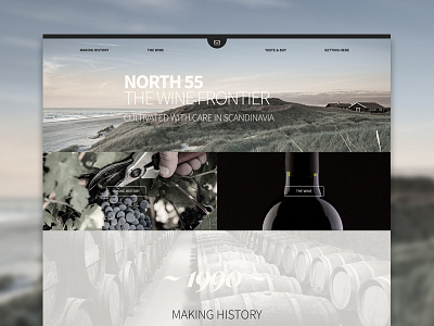 North 55 art direction web design