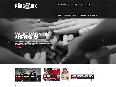 Roke free lance sports web design