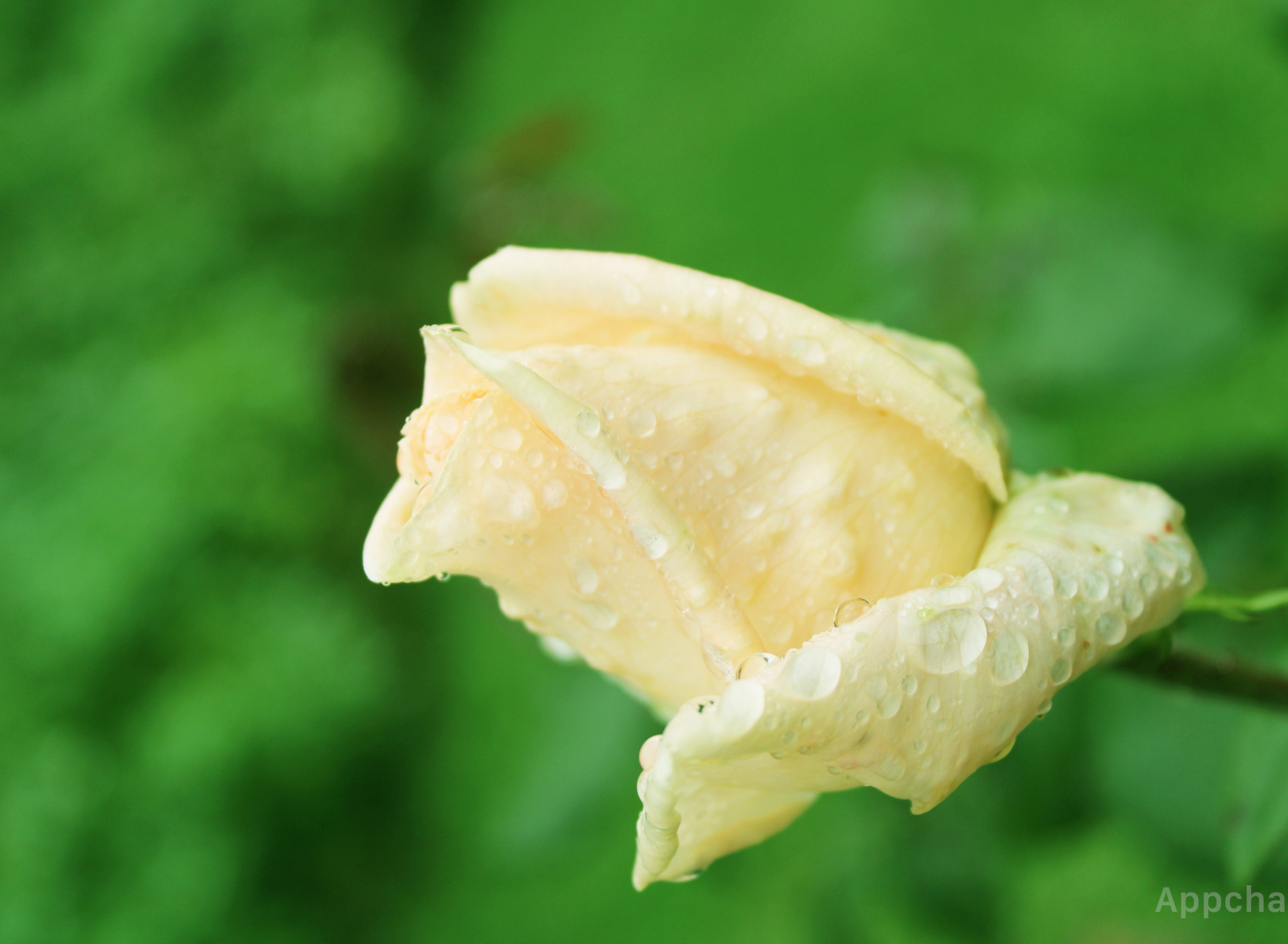 My First Photography Work By Devika R On Dribbble My First Photography Work By Devika R On Dribbble