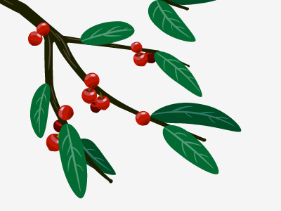 Branch berries branch illustration leaves vector