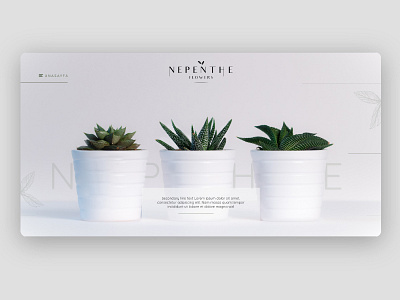 Nepenthe Flowers Website minimal ui ux website