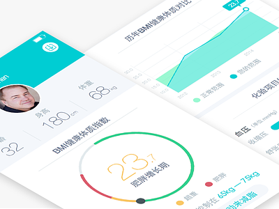 Health Report bmi china chinese date health person report ui ux