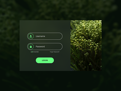 Login Form UI Design