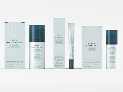 818 cosmetics beauty cosmetics packaging packaging design simple typography