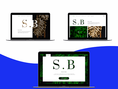 S+B Hero Section branding creative agency uidesign web design website