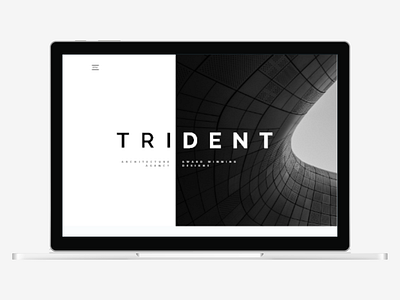 TRI DENT ARCHITECTURE AGENCY CONCEPT