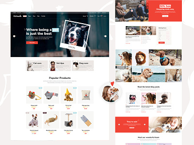 Pet Care WordPress Theme designs, themes, templates and downloadable  graphic elements on Dribbble