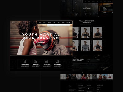 Powerlift - Fitness and Gym Theme branding fit fitness flat graphicdesign gym logo modern photoshop responsive shop sports theme typography ui ux web website wordpress workout