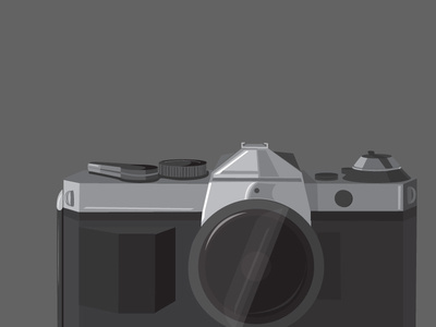 Grayscale Camera Illustration