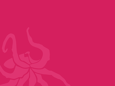 Octopus critter fuchsia illustration miami monotone octopus pink