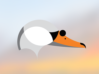 Swan animal logo minimalism simple study swan
