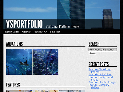 VSP Wordpress Theme images photoblog portfolio theme wordpress