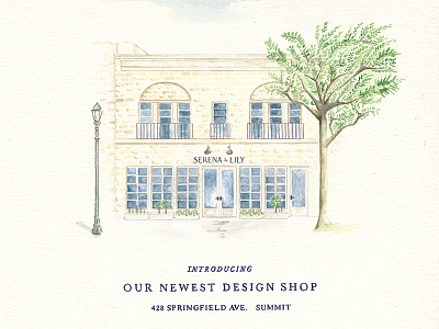 Design Shop, Summit NJ. designshop painting storefront watercolor