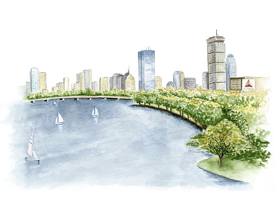 Boston Skyline for Serena & Lily boston charles river city illustration sailing skyline watercolor