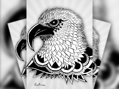 Hand drawn EAGLE Illustration // Pen, Pencil art black and white drawing eagle illustration pen pencil