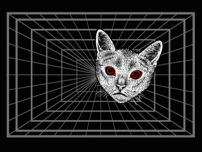 Trippy Cat. animation