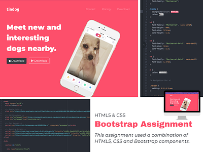 Bootstrap Assignment bootstrap 4 coding css3 fontawesome html5 ui visual design web design webdev webdevelopment