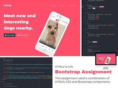 Bootstrap Assignment