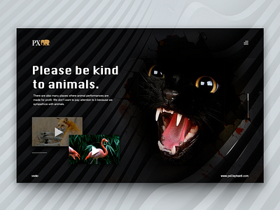 Please be kind to animals animals landing page web