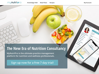 Website - header part branding design header design landing page nutrition ui uidesign