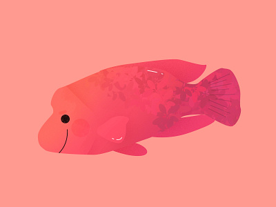 Napoleon Fish 2019 animal creature cute design fish graphic happy illustration kid mermay mystical myth napoleon fish ocean pastel sea spring