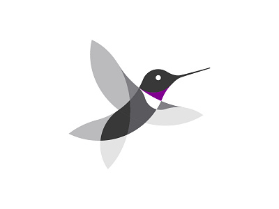 Humming Bird Logo animal bird branding design flat identity logo mark symbol