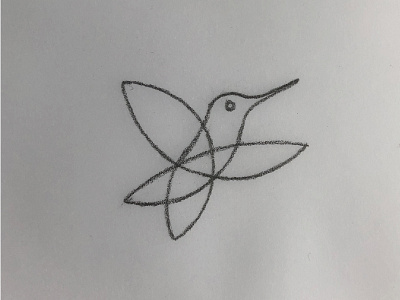 Humming Bird Logo Sketch