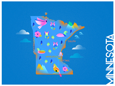 A state a day. #43 - Minnesota animals art blue bright colors color combinations color palettes color study design duck flat gradient illustration infographic map noise poster states texture usa vector