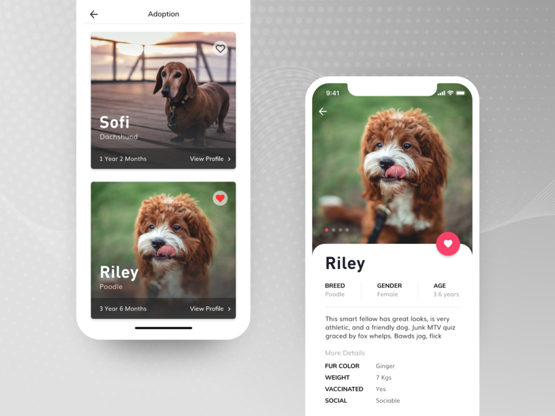 Pet Adoption App by Vinay Narayana on Dribbble