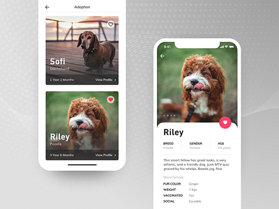 Pet Adoption App adobe xd app design ios ios app mobile pet pet app ui ux