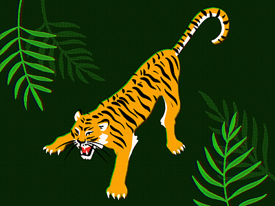 Tiger animal animal anatomy animal illustration bammes drawing halftones ipad pro procreate tiger