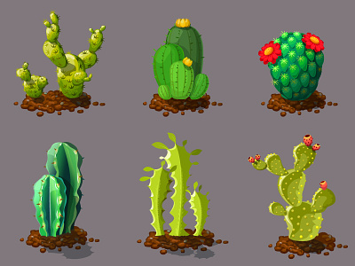Cute Different Types Of Cactus Plants. Realistic Decorative Icon cactus cartoon cg digital art icon illustration plant set vector