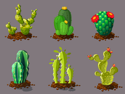 Cute Different Types Of Cactus Plants. Realistic Decorative Icon