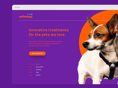 Vetherapy Identity biotech branding corporatebranding logo design pet startup