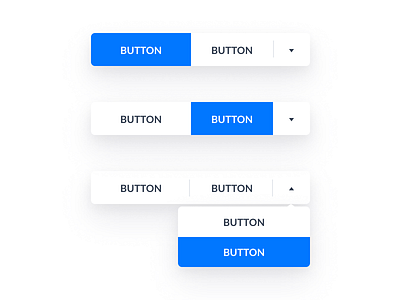 Button group by Lulu Wang on Dribbble