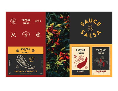 Pepper Co. Farms brand branding branding design illustration logo packaging print typography