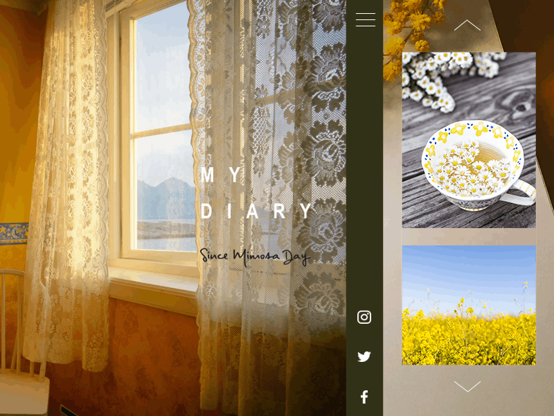 Since Mimosa Day animation design diary happiness interaction mimosa ui yellow