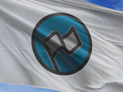 N + Flag Logo branding flag logo n national