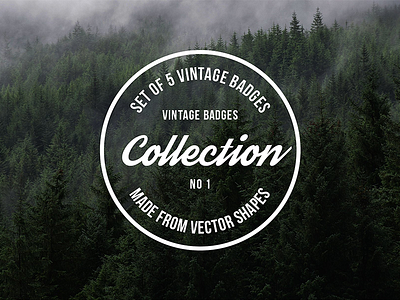 Vintage Badges Collection badges collection logo print retro t shirt template vintage