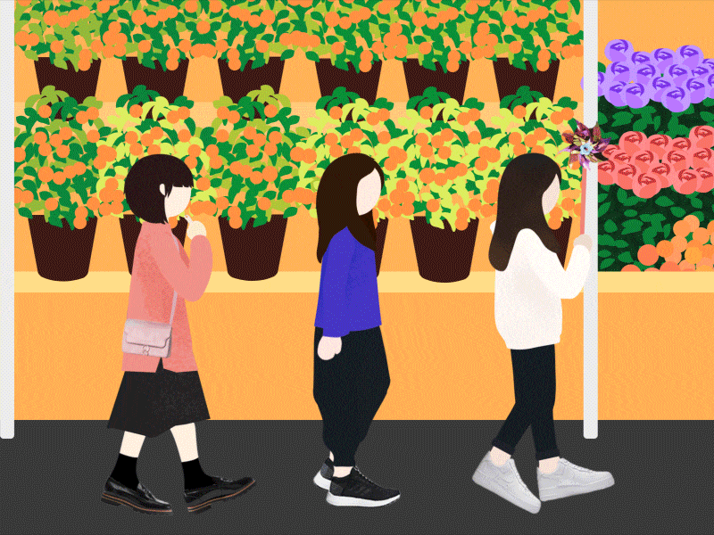 Flower Street graphic illustration motion