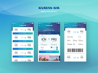 Airplane mobile application