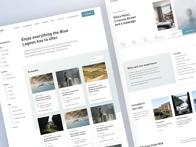 Blue Lagoon Experiences design ui ux web web design webdesign