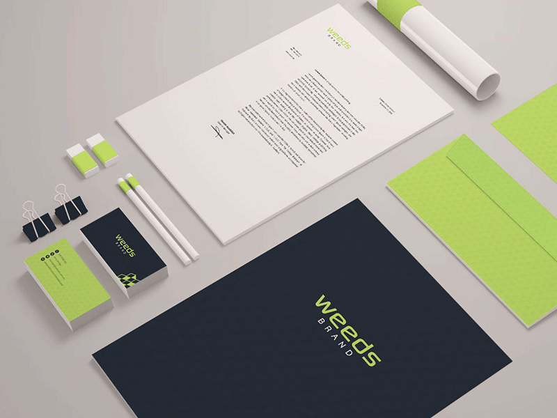 Weeds Brand - C.I.P brand c.i.p flat design material uiux viet nam vietnam weeds brand weedsbrand