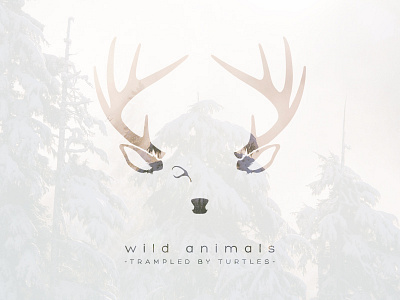 Wild Animals album art deer logo stag trampled by turtles